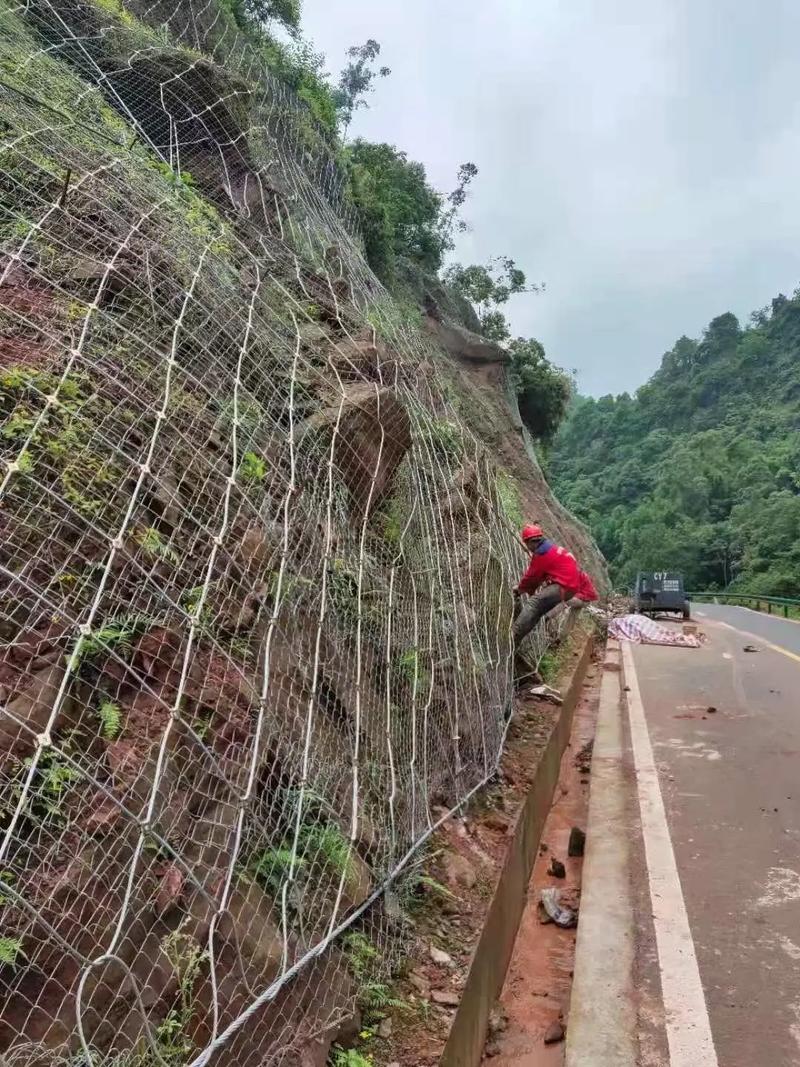 青岛北区边坡绿化防护